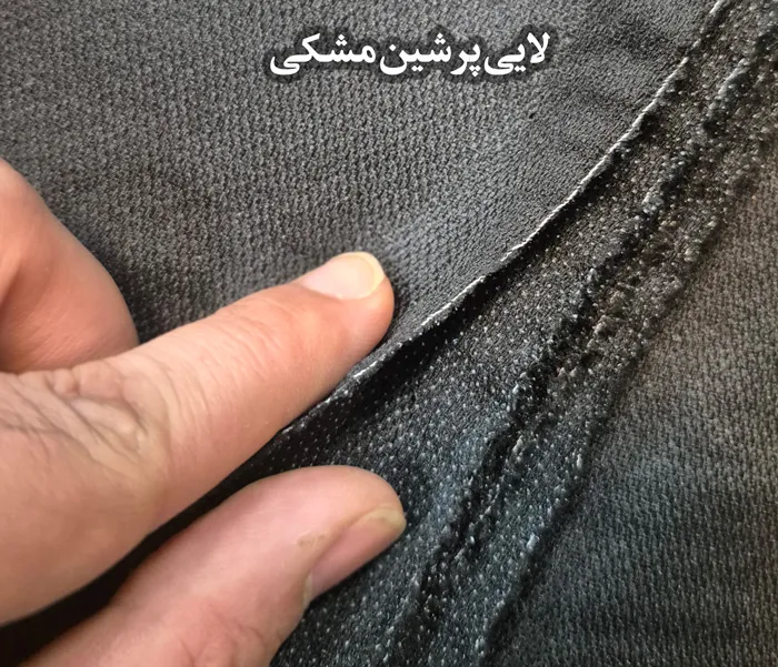 عکس لایی پرشین مشکی